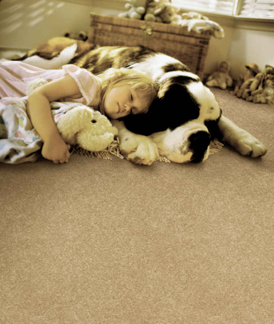 We come to you! Certified carpet and upholstery cleaning! - Myerstown PA